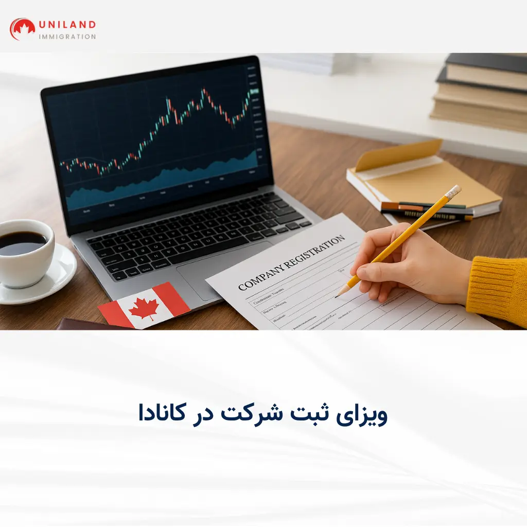 نوشتن فرم ثبت شرکت و تحلیل بازار روی لپتاپ؛ مراحل دریافت ویزای ثبت شرکت در کانادا