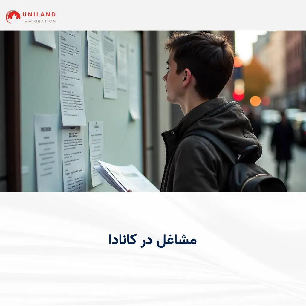 جستجوی فرصتهای شغلی توسط متقاضی مهاجرت؛ نمایی از روند پیدا کردن مشاغل کانادا